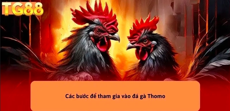 Lý giải câu hỏi thường gặp hội viên